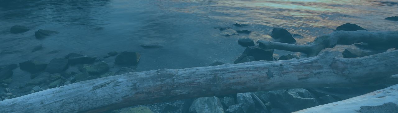 Select Image